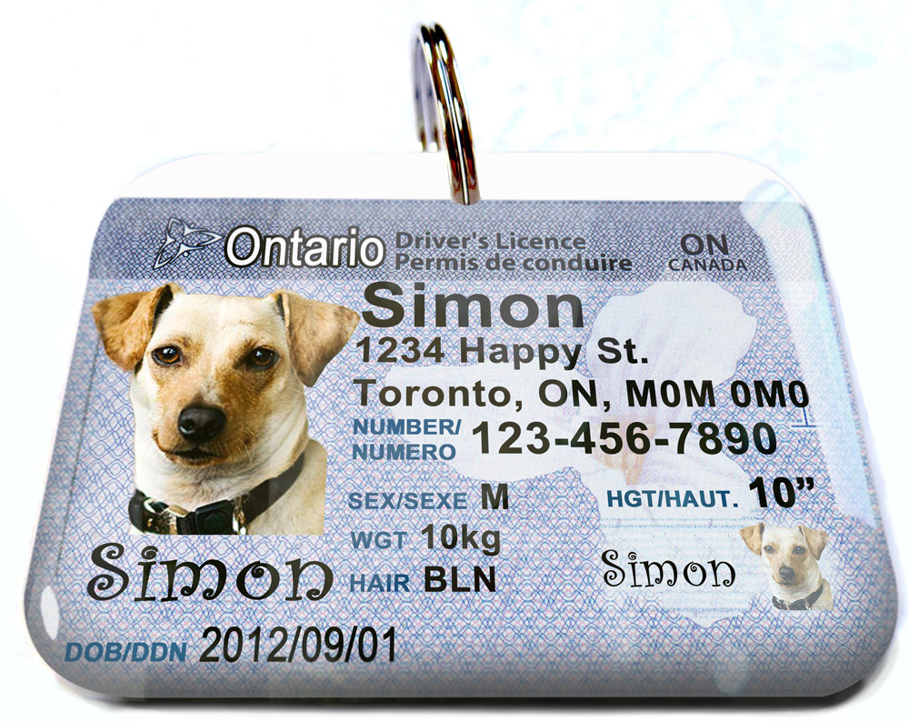 Ontario driver licence number generateor